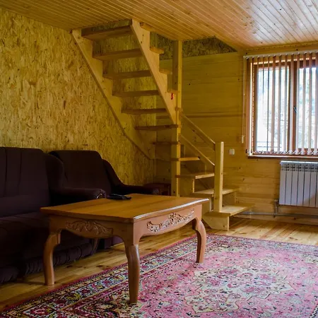 Svitlana Guest house 3*