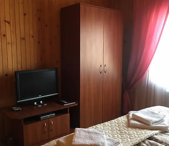 Svitlana 招待所 3*